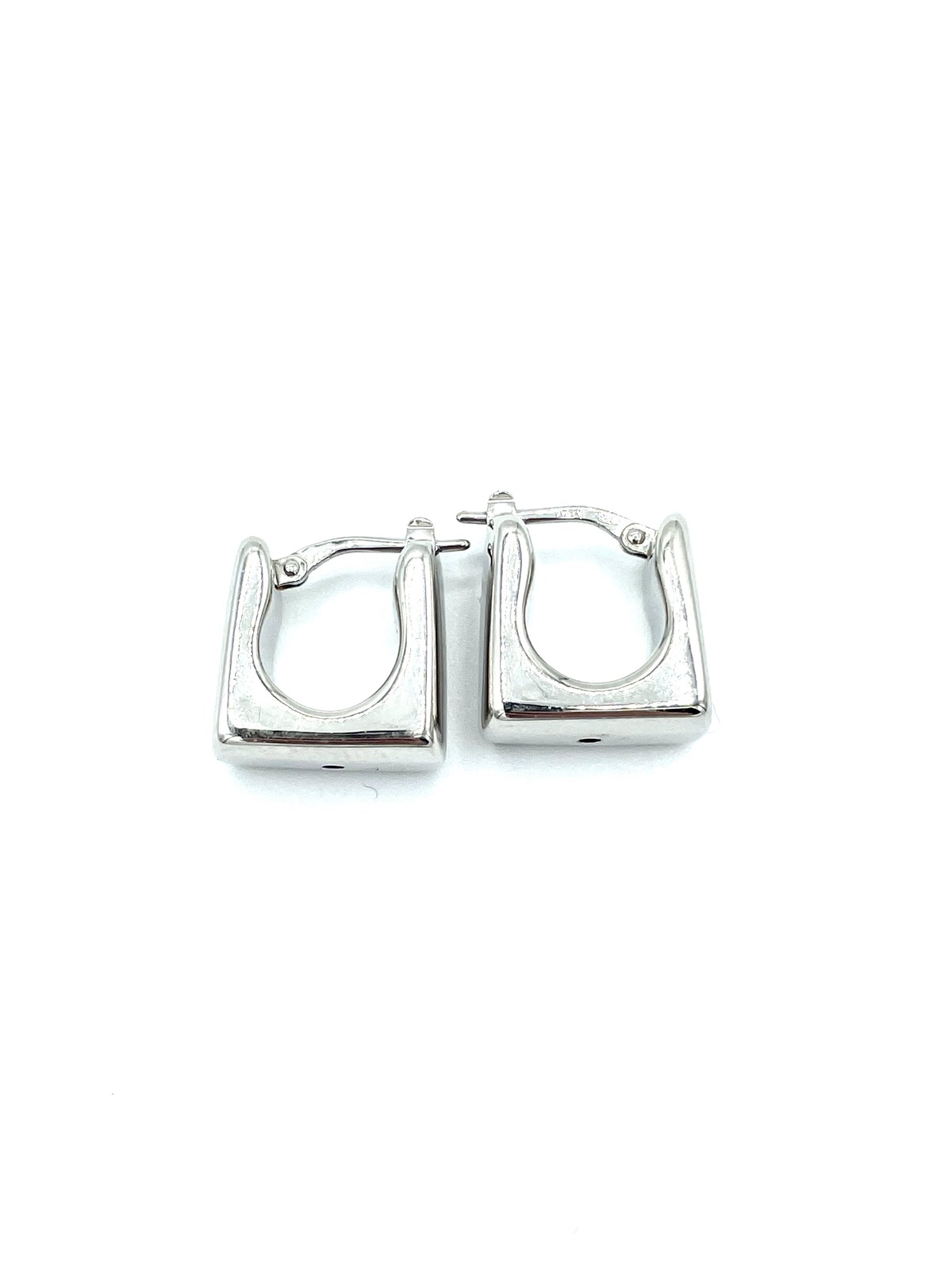 Earrings in silver tit. 925m